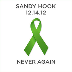 Sandy Hook, Never Again